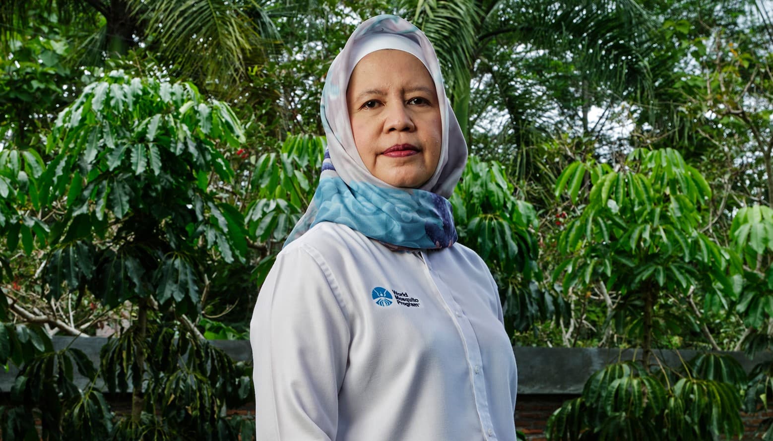 Mosquito Commander (Komandan Nyamuk)