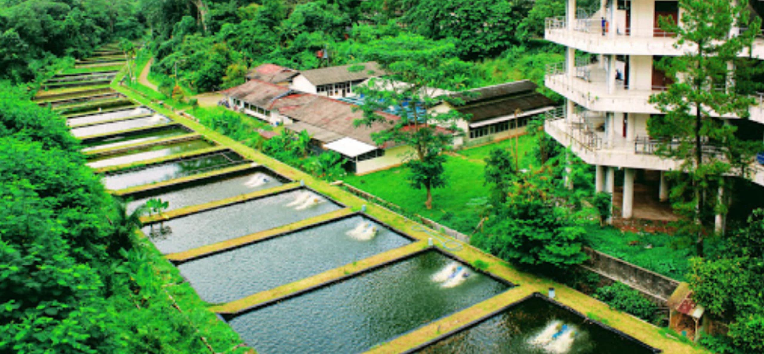 Program Studi Akuakultur IPB University Tempat Belajar Budidaya Ikan Paling Oke