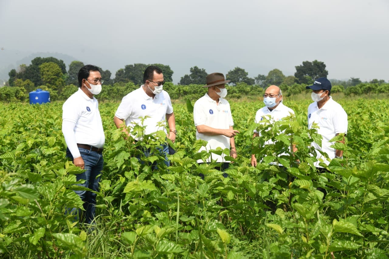 Di Masa Pandemi Petani Binaan IPB University Bisa Ekspor