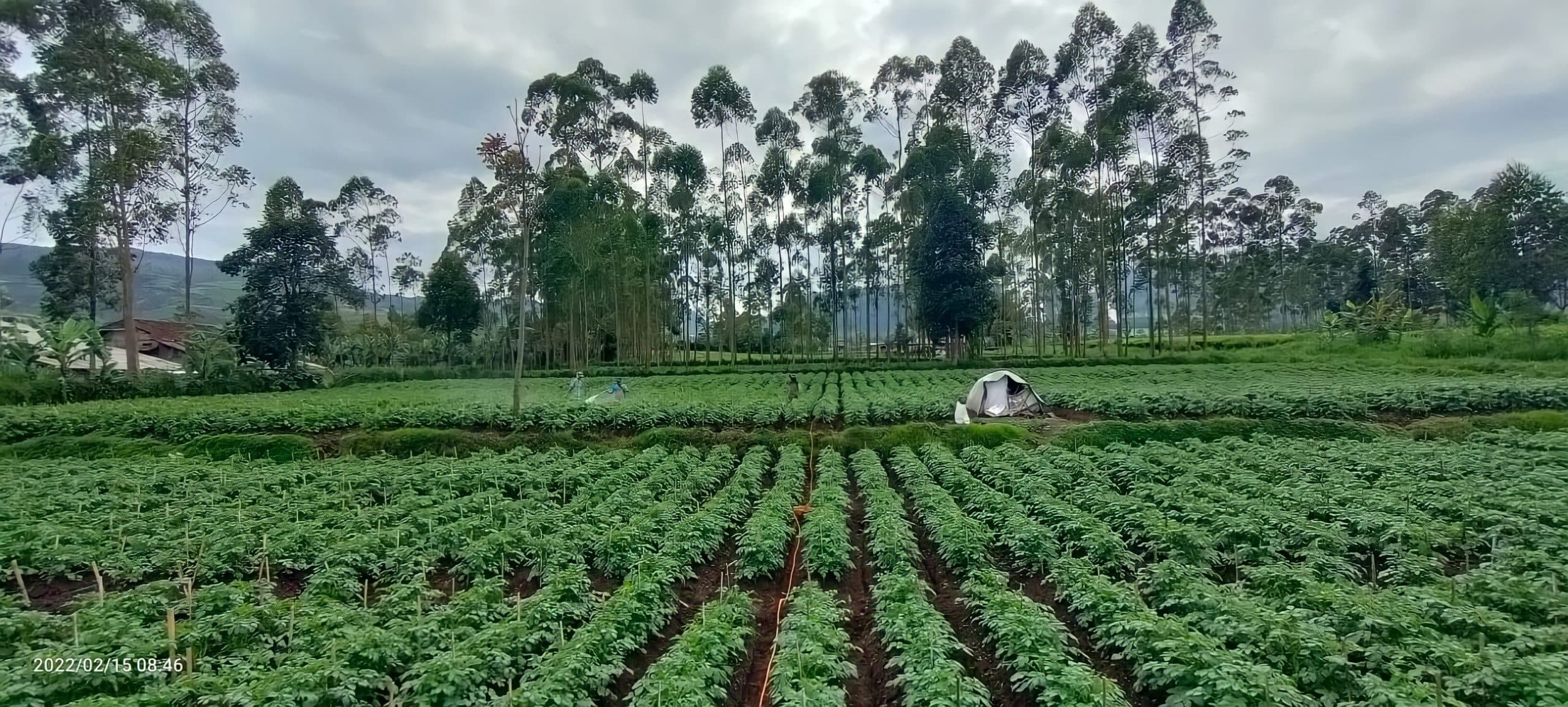 Mahasiswa IPB University Mendapat Insight Terkait Konsep Bio-Village Sebagai Aksi Konservasi Terintegrasi Lahan Gambut