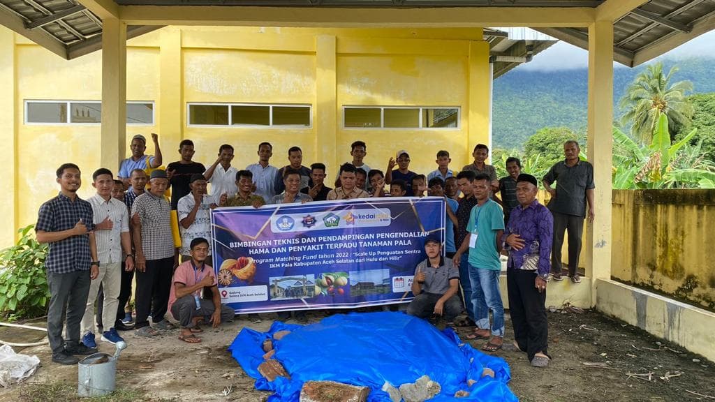Cegah Hama Pala, Tim Kedaireka UTU Lakukan Pendampingan Petani Pala di Aceh Selatan