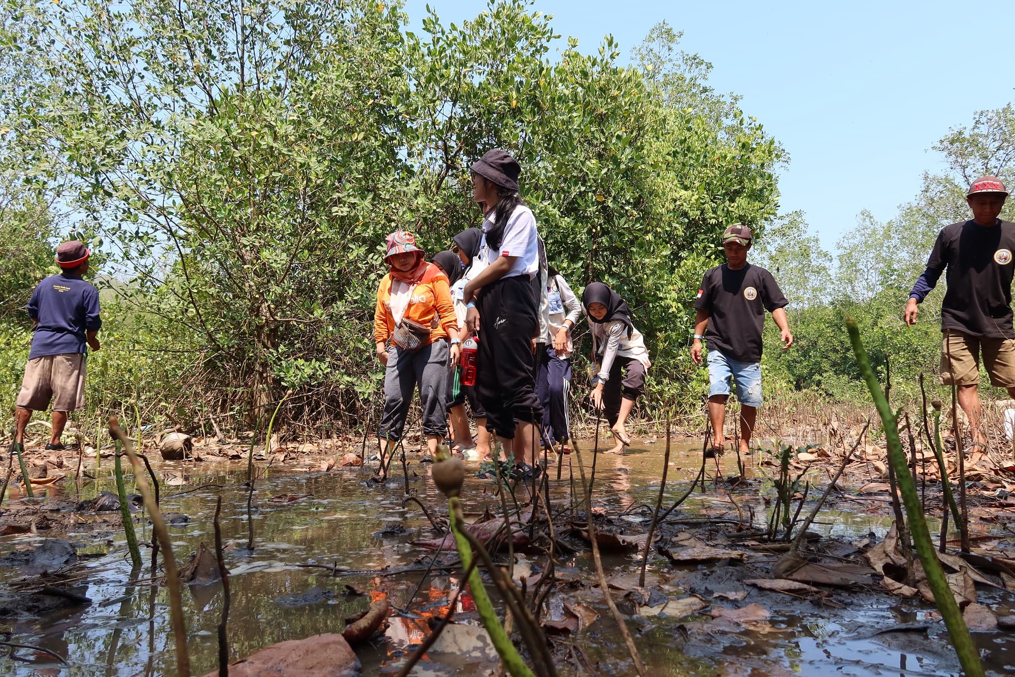 Cegah Abrasi dan Tingkatkan Potensi Desa Wisata daerah Pesesir Pantai Selatan, FKM UNEJ Gandeng Pemuda dan Nelayan Tanam Pohon Mangrove