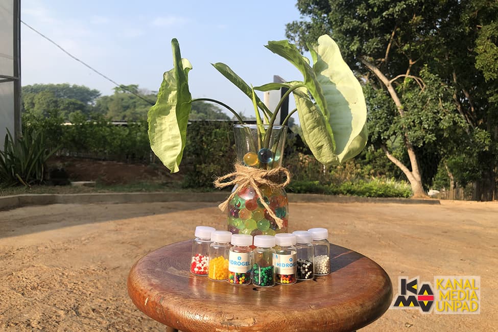 Citrigel, Media Tanam Praktis untuk Tanaman Hias Dalam Ruangan