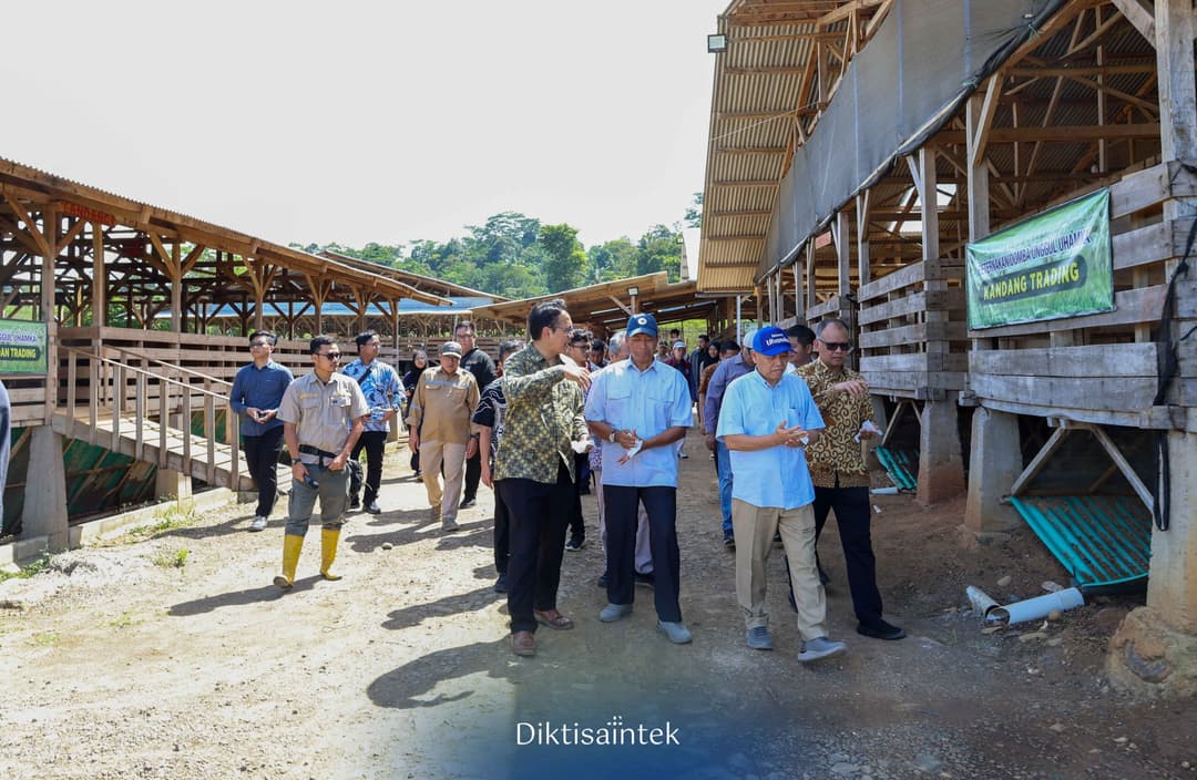 Kunjungan Wamendiktisaintek ke Peternakan UHAMKA