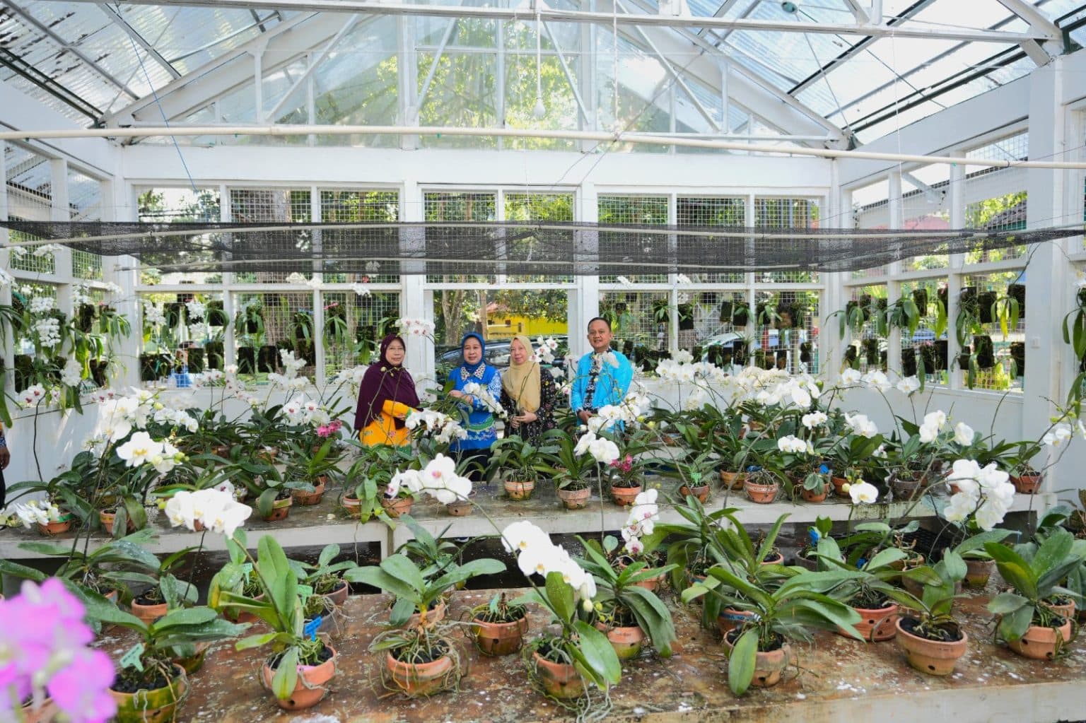 Unila Kembangkan Pusat Penelitian Genetik Anggrek, Komitmen Konservasi dan Pendidikan