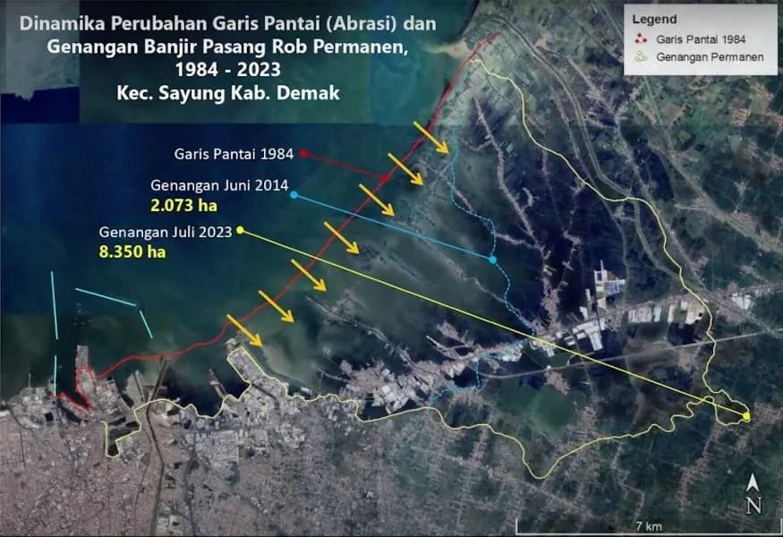 Inovasi UNDIP untuk Pantura: Hybrid Sea Wall Cegah Rob dan Banjir di Pesisir Demak