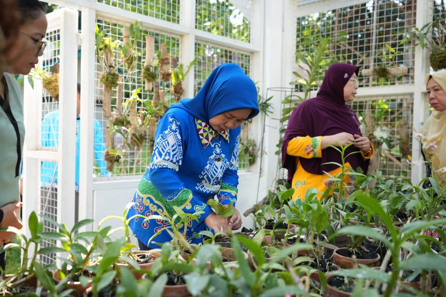 Unila Kembangkan Pusat Penelitian Genetik Anggrek, Wujud Nyata Komitmen pada Konservasi dan Pendidikan