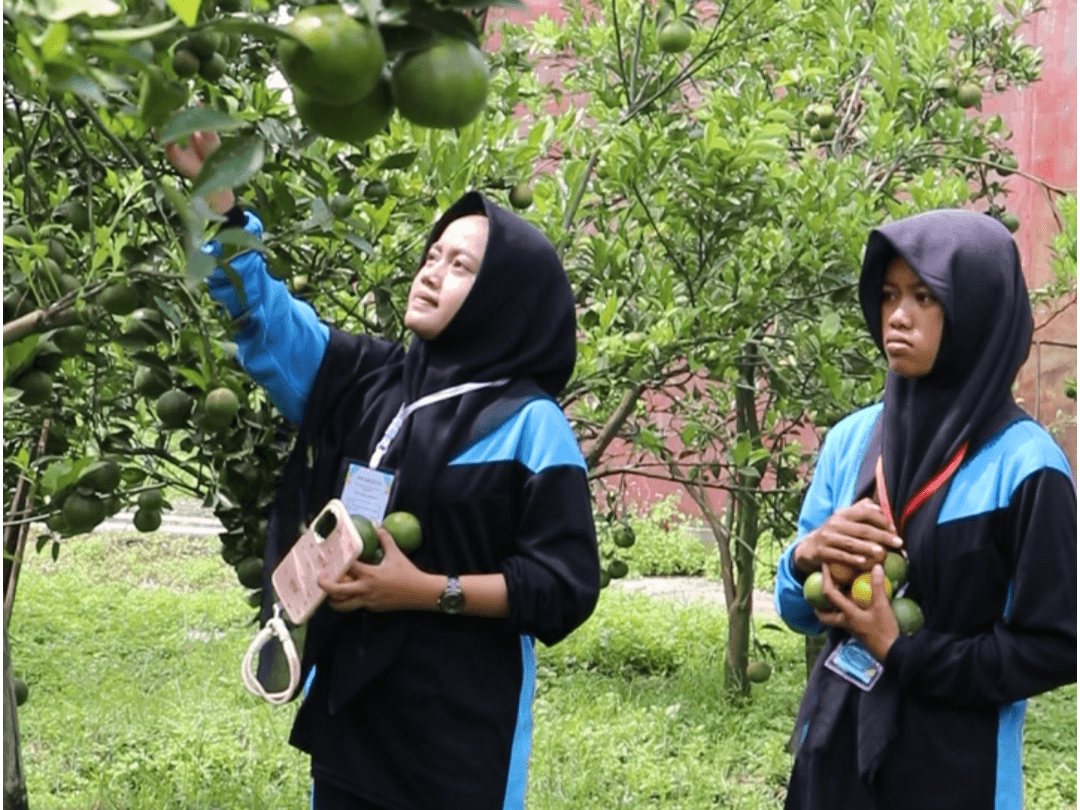 Polije Buka Paket Agrowisata Inovatif di Tengah Kota Jember