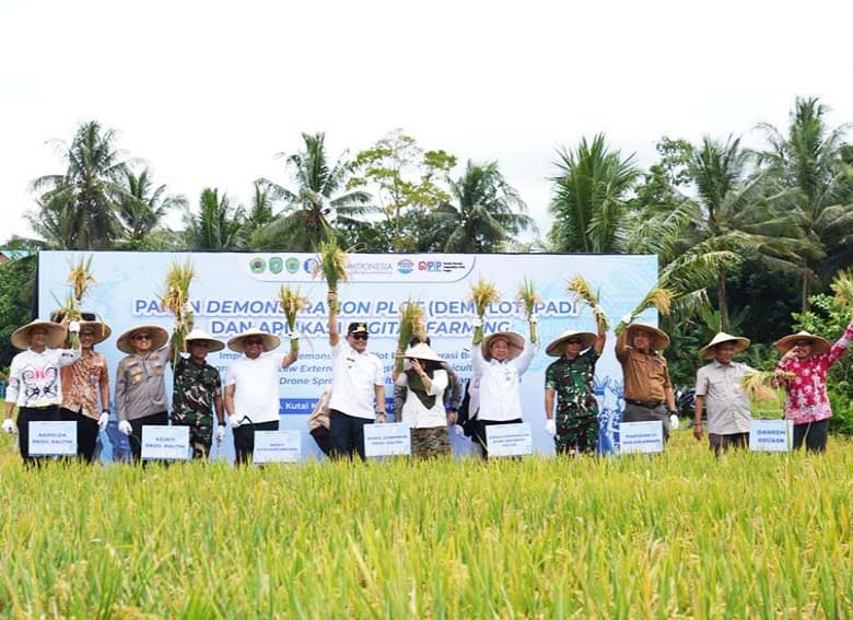 Inovasi Dosen Politani Samarinda Dongkrak Produktivitas Padi hingga 44,83 Persen