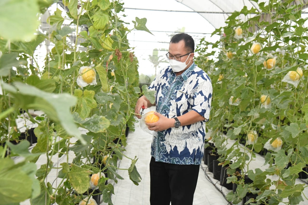 Dorong Mahasiswa Jadi Petani Milenial, Rektor IPB University Sediakan Lahan di Sukamantri