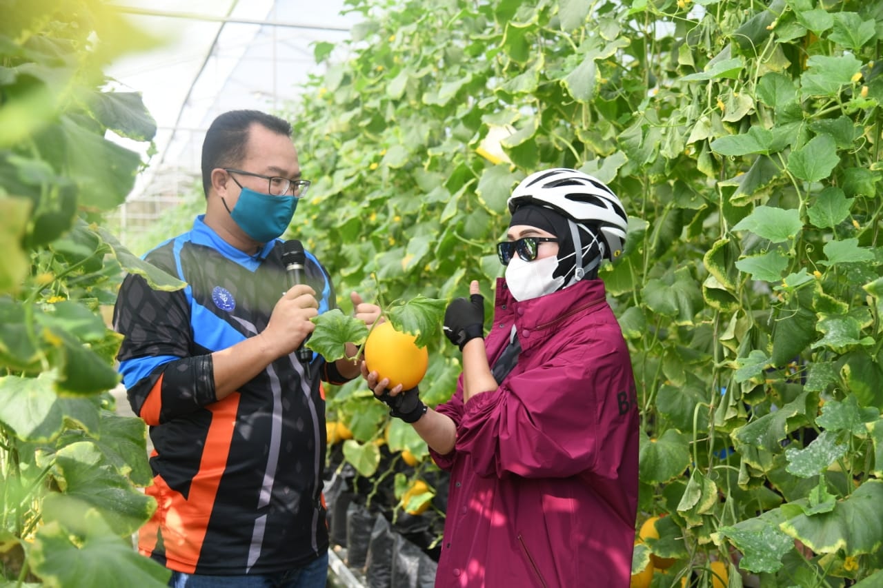 Kolaborasi IPB University dan Bank BNI Berikan Layanan Terbaik untuk Pembangunan Pertanian