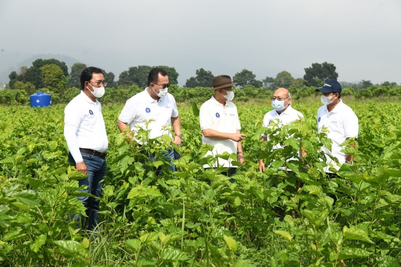 Di Masa Pandemi Petani Binaan IPB University Bisa Ekspor