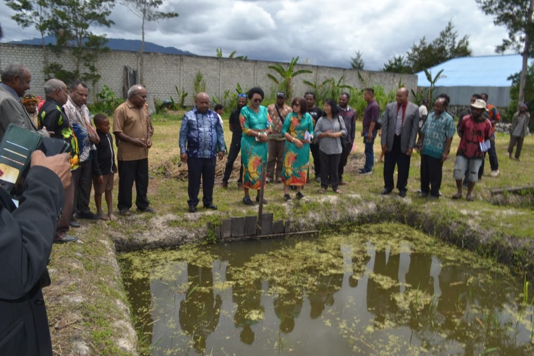 Uncen Melatih Jemaat Gereja Di Wamena Budidaya Ikan Air Tawar.