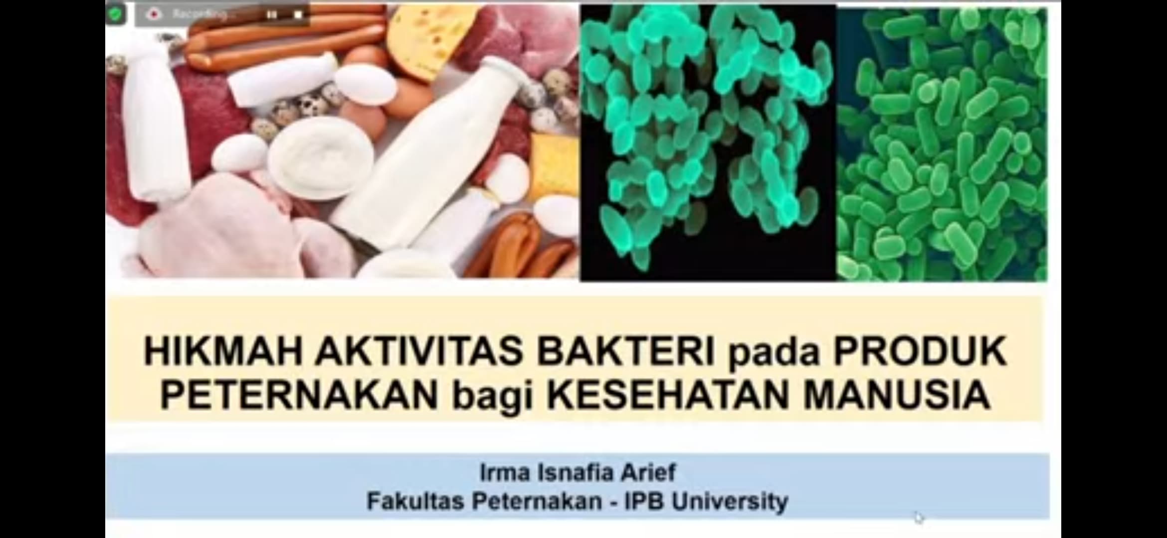 Begini Hikmah Bakteri Baik pada Produk Peternakan