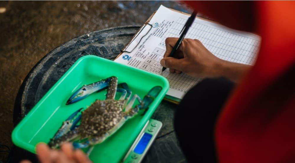 Riset Rajungan, Dr Hawis Madduppa dan Mahasiswi Bimbingannya Masuk 2 dari 20 Peneliti Dunia dalam Isu Perbaikan Perikanan