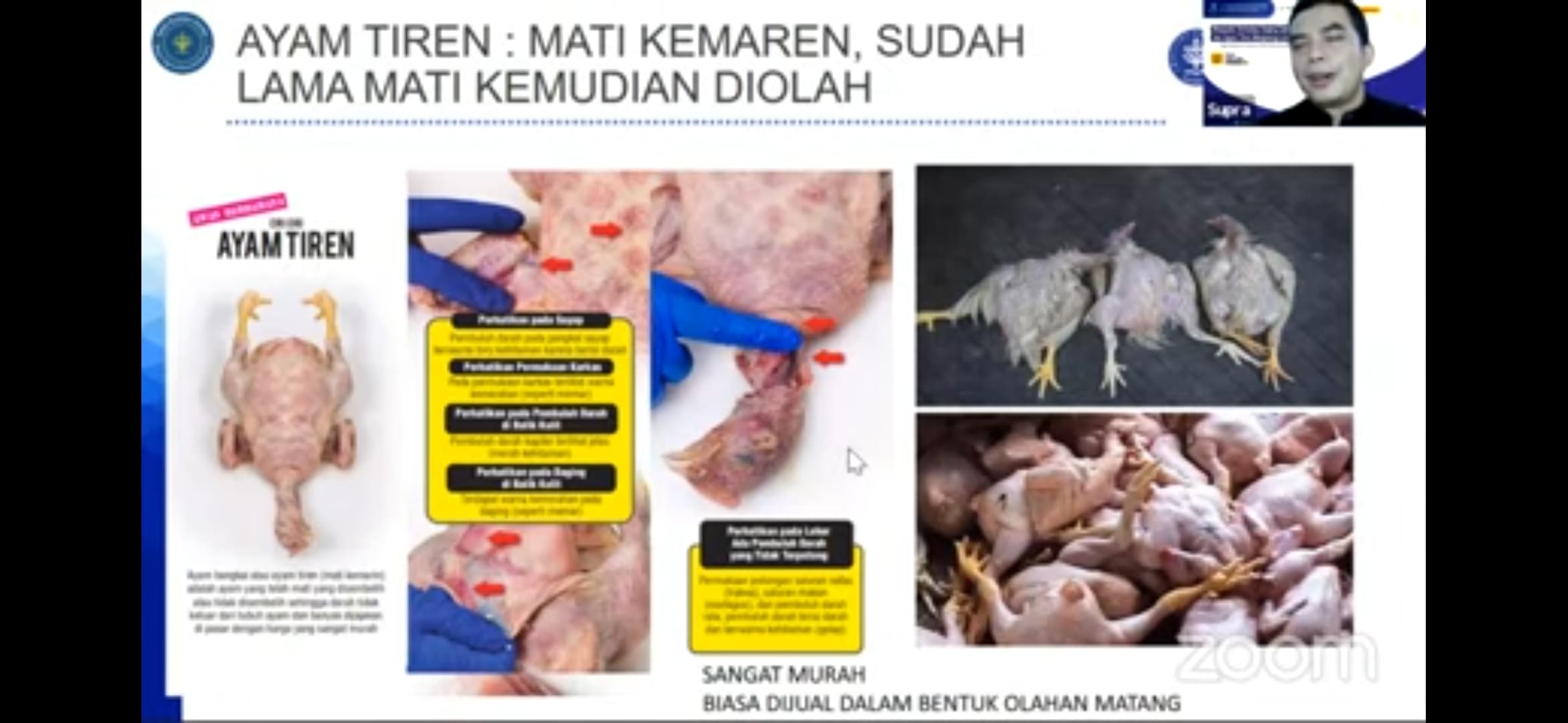 HSC IPB University: Jelang Lebaran, Waspada Daging Oplos dan Ayam Tiren