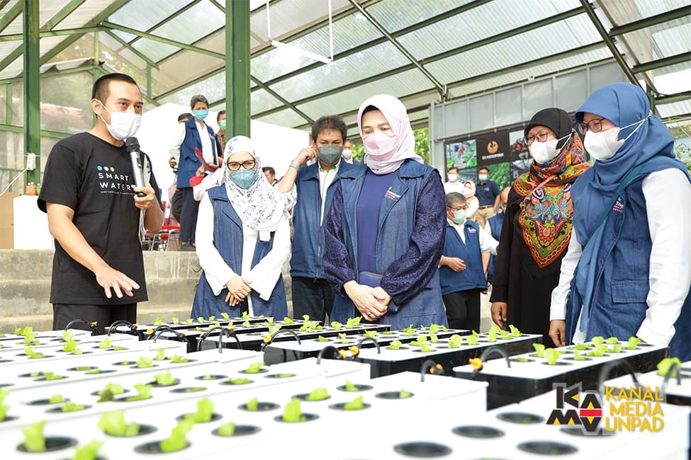 Unpad Kembangkan Kebun Hidroponik Pintar