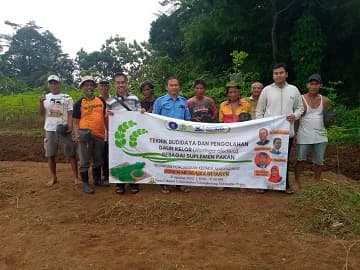 Dosen Mengabdi IPB University Latih Kelompok Tani Desa Cibatok Budidaya dan Pengolahan Tanaman Kelor Sebagai Pakan Ternak
