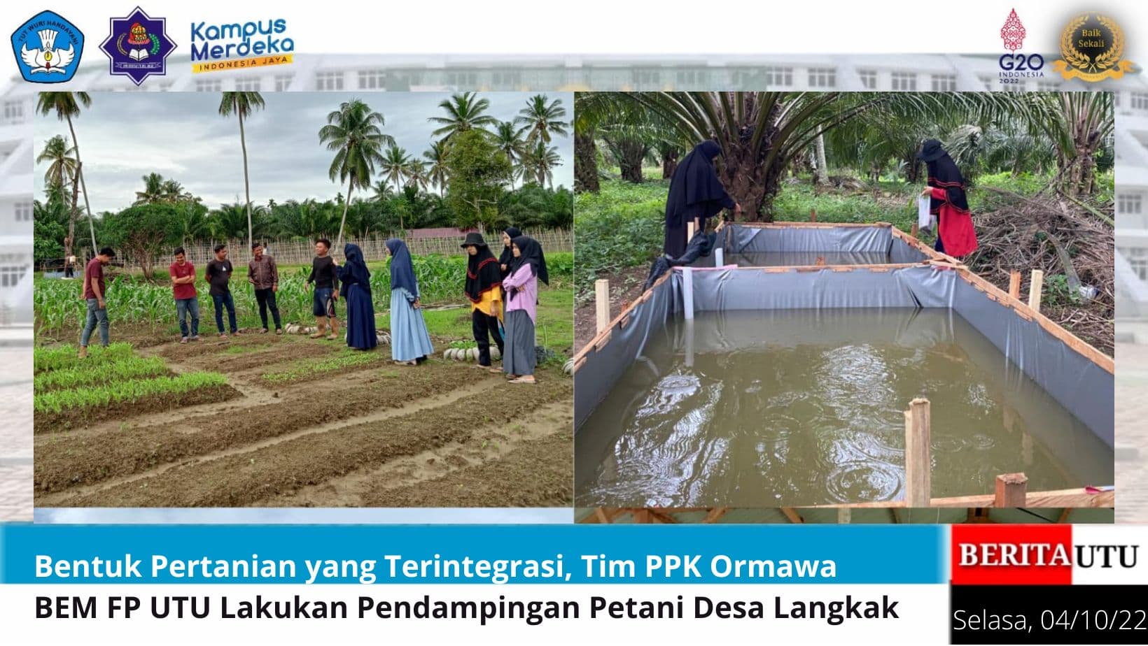 Bentuk Pertanian Terintegrasi, Tim PPK Ormawa BEM FP UTU Lakukan Pendampingan Petani Desa Langkak