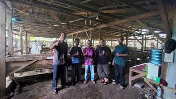 Upaya Dosen Fakultas Peternakan IPB University Persiapkan Sapi Sukses Kawin