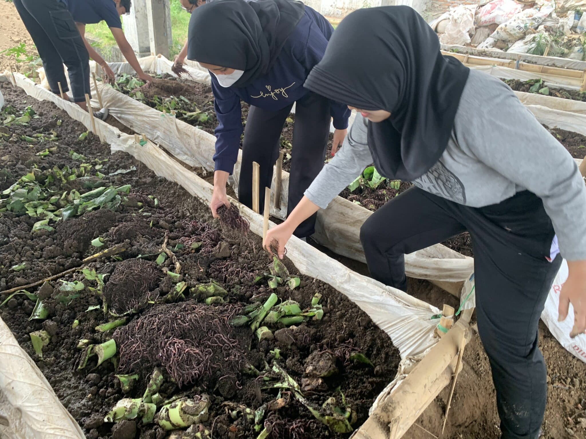 KKN Abmas ITS Manfaatkan Limbah Organik untuk Budidaya Cacing