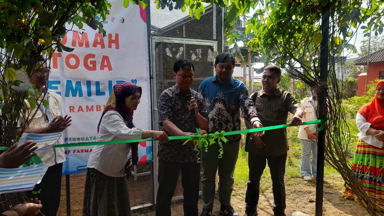 Mahasiswa Universitas Jember Ciptakan Green House Tanaman Toga dan Kafe Jamu di Desa Rambipuji
