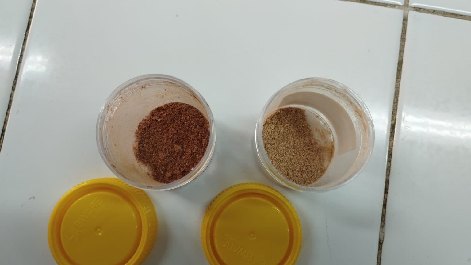 Sebut Obat Sapu Jagat, Dosen UNAIR Paparkan Potensi Bahan Aktif Fucoidan