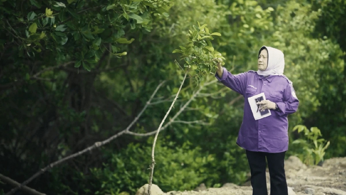 Bedono Jadi Living Lab Pesisir: Kisah Mak Jah hingga Peran FSM UNDIP dalam Ketahanan Sosial - Ekologis
