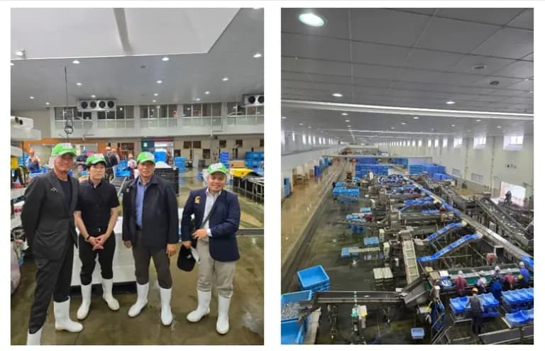 Belajar Manajemen Pasar Ikan terintegrasi di Jepang, FPIK UNDIP Buka Peluang Internship Internasional di Nagasaki