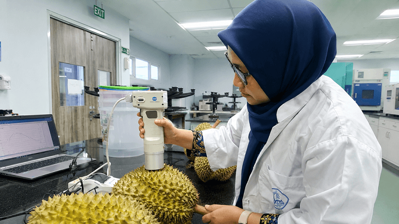 Dosen Polije Kembangkan AI Pendeteksi Kematangan Durian