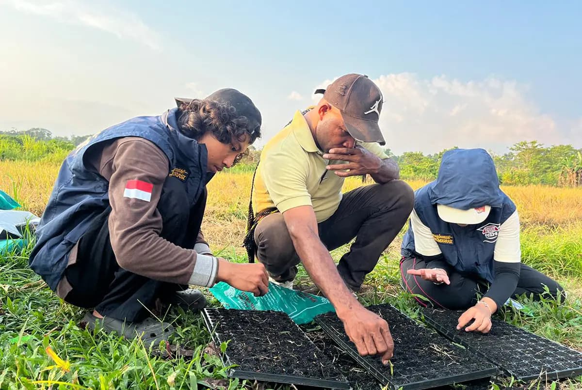Dukung Ketahanan Pangan, Tim Ekspedisi Patriot UNDIP Uji Potensi Lahan dan Kembangkan Demplot di SP 2 Senggi